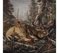 The Acacia Strain Failure Will Follow (CD) Album