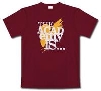 The Academy Is * Birdbrain * Shirt * L * Maglietta Originale *