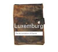 The Accumulation of Capital