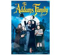 The Adams Family (DVD) Anjelica Huston Raul Julia Christopher Lloyd