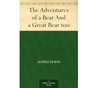 The Adventures of a Bear