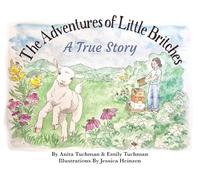 The Adventures of Little Britches