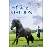 The Adventures of the Black Stallion. Season One, Volume One.