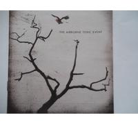 the Airborne Toxic Event T.a.T.E. (CD)