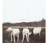 The Albatross: Ten Years