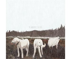 The Albatross: Ten Years