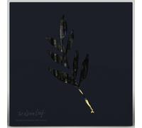 The Album Leaf An Orchestrated Rise To Fall Blue & Yellow Starburst (Vinyl LP)