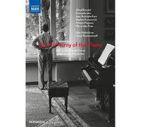 The Alchemy Of The Piano - A Film By Jan Schmidt-Garre With Francesco Piem (DVD)