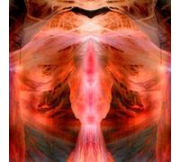 The Anihilating Angel; Or, The Surface Of The World