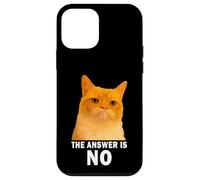 The Answer is No Funny Grumpy Orange Cat Meme Weird Cat Face Custodia per iPhone 12 mini
