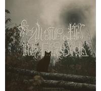 The Answer Lies The Black Void Transcendental (Vinyl LP)