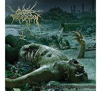 The Anthropocene Extinction