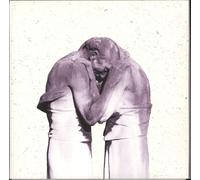 The Antlers Familiars (Vinyl LP)