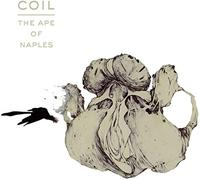 The Ape Of Naples