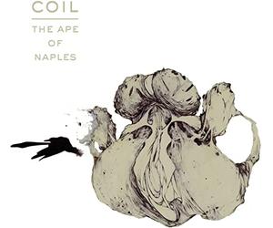 The Ape of Naples