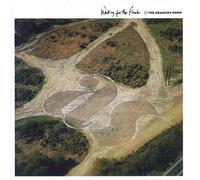 The Armoury Show - Waiting For The Floods - Expanded Editio