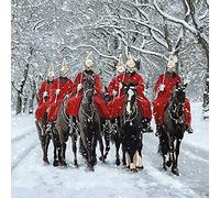 The Art File - 8 biglietti di lusso con buste e protezioni per cavalli in neve