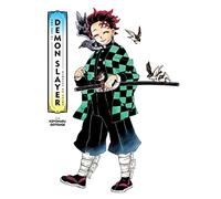 The Art of Demon Slayer: Kimetsu no Yaiba (The Art of Demon Slayer: Kimetsu no