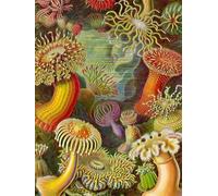 The Art of Life Journal: Featuring the Art of Ernst Haeckel
