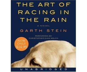 [(The Art of Racing in the Rain)] [Author: Garth Stein] published on (June, 2009)