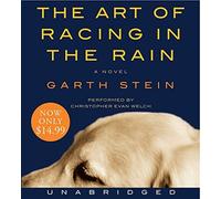 The Art of Racing in the Rain Low Price CD by Stein, Garth (2009) Audio CD