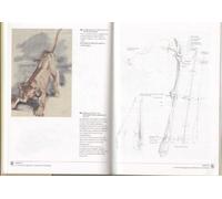 The Artist's Guide to Animal Anatomy: An Illustrated Reference to Drawing Animals