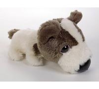 The Artlist Collection: Papillon the Dog by The Dog Project