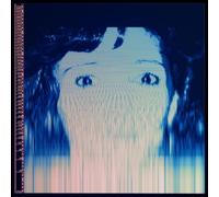 Avalanches - We Will Always Love You