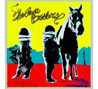 The Avett Brothers True Sadness (Vinyl LP) 12" Album