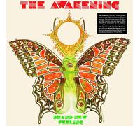 The Awakening Brand New Feeling (Vinyl LP)