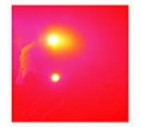 The Back Horn - Ubugoe Chainsaw [Ltd. Special]