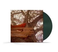 The Backseat Lovers Waiting to Spill (Vinyl LP) D2C Exclusive