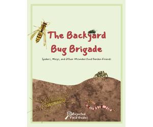 The Backyard Bug Brigade: Spiders, Wasps, and Other Misunderstood Garden Friends