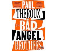 The Bad Angel Brothers: a novel