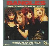 THE BANGLES - Hazy Shade Of Winter