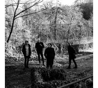 The Be Positives Everything About (CD) Album