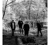 The Be Positives Everything About (Vinyl LP) 12" Album