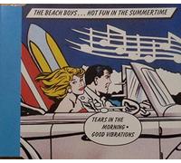 The Beach Boys - Hot Fun In The Summertime (x1+2)
