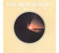 The Beach Boys - M.I.U [Import]
