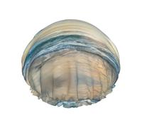 The Beach With Sea Birds Multi-Scene e Multiuso Doccia Spa Doppio Strato Impermeabile Cuffia Doccia E Cuffia Cucina, Adatto Per Adulti, Bambini E Uomini E Donne.