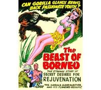 The Beast of Borneo (DVD) Mae Stuart John Preston Eugene Sigaloff Harry Garson