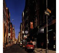 The Beastie Boys - Paul's Boutique