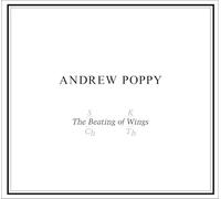 The Beating Of Wings