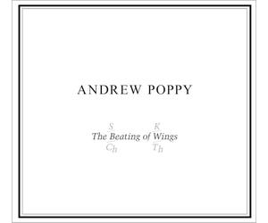 The Beating Of Wings