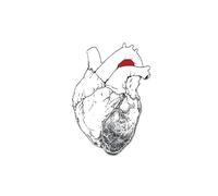 Swans The Beggar (CD) Album