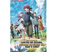 The Beginning After The End serie completa (1-12) DVD anime [Dub inglese]