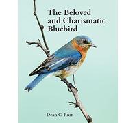 The Beloved and Charismatic Bluebird