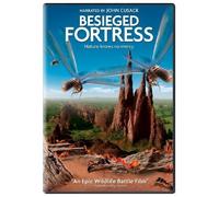 The Besieged Fortress by Weinstein Company by Philippe Calderon