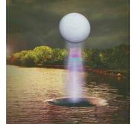 The Besnard Lakes A Coliseum Complex Museum (Vinyl LP) 12" Album