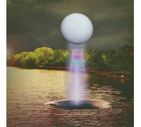 The Besnard Lakes A Coliseum Complex Museum (Vinyl LP)